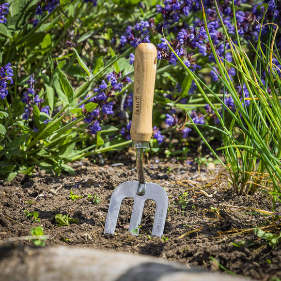 Premier Garden Hand Fork with Ash Handle & Stainless Steel Tines - SE-GTWH007