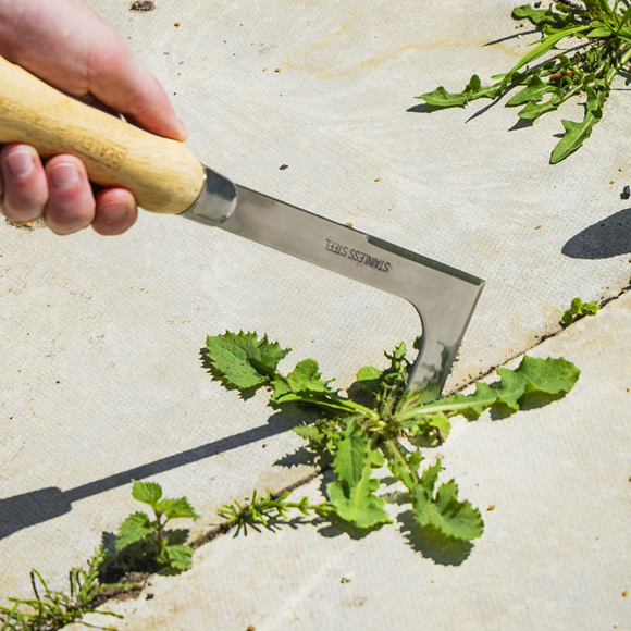 Premier Weeding Knife with Ash Handle & Stainless Steel Blade - SE-GTWH009