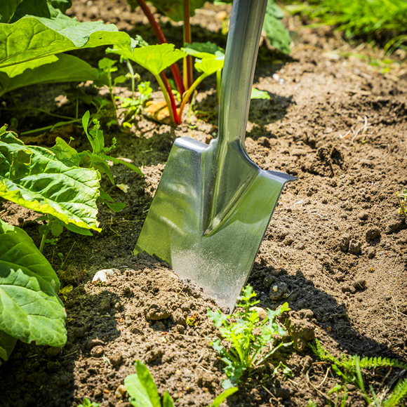 Premier Border Spade with Ash Y Handle & Stainless Steel Blade - SE-GTWH017