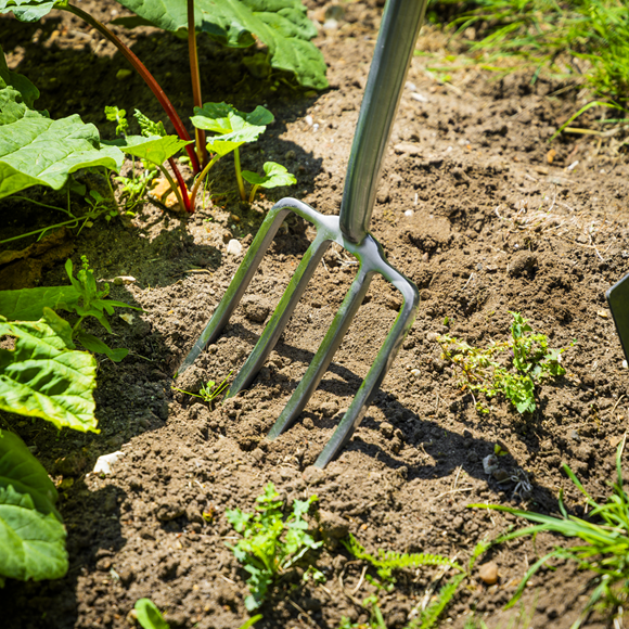 Premier Border Fork with Ash Handle & Stainless Steel Tines - SE-GTWH018