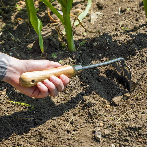 Premier Mini Hoe with Ash Handle & Stainless Steel Blade - SE-GTWH019