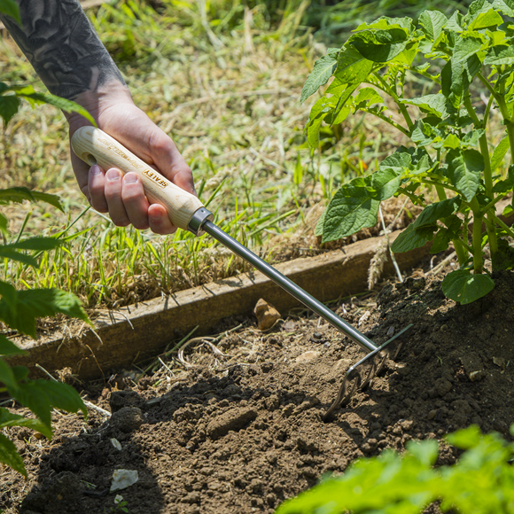 Premier Garden Hand Rake with Short Ash Handle & Stainless Steel Tines - SE-GTWH020