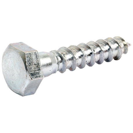 Metric Coach Screw, Size: M10 x 50mm (Din 571)
 - S.8370 - Massey Tractor Parts