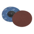 Two Quick-Change Sanding Discs from Sealey, one with a brown abrasive surface and the other displaying the blue backside marked with "120" grit, ideal for air mini sanders.