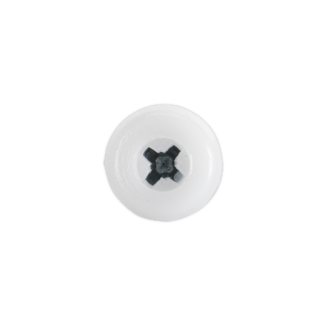 Numberplate Screw Plastic Enclosed Head 4.8 x 24mm White Pack of 50 - PTNP5 - Farming Parts