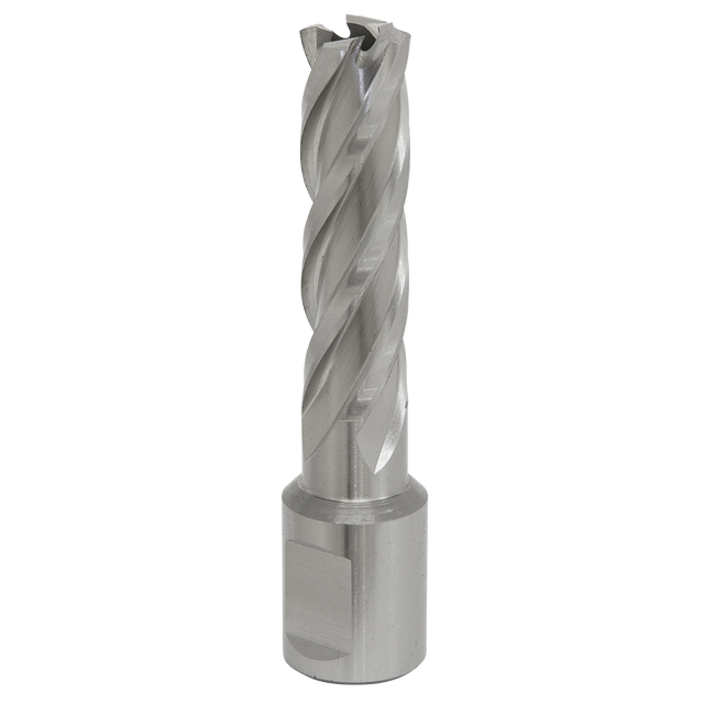 Introducing the Rotabor Cutter HSS Ø14mm - Cut Depth 50mm (RBHSS14L) by Sealey, a durable and precise metal drill bit featuring spiral flutes, crafted from premium HSS M2 steel for superior performance in cutting and shaping materials.