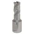 The Sealey Rotabor Cutter HSS Ø14mm - Cut Depth 25mm - RBHSS14S is a helical flute metal end mill made from HSS M2 steel, commonly used for precise cutting depths in machining applications during milling operations.