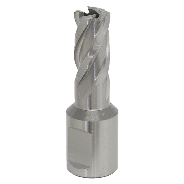 The Sealey Rotabor Cutter HSS Ø14mm - Cut Depth 25mm - RBHSS14S is a helical flute metal end mill made from HSS M2 steel, commonly used for precise cutting depths in machining applications during milling operations.