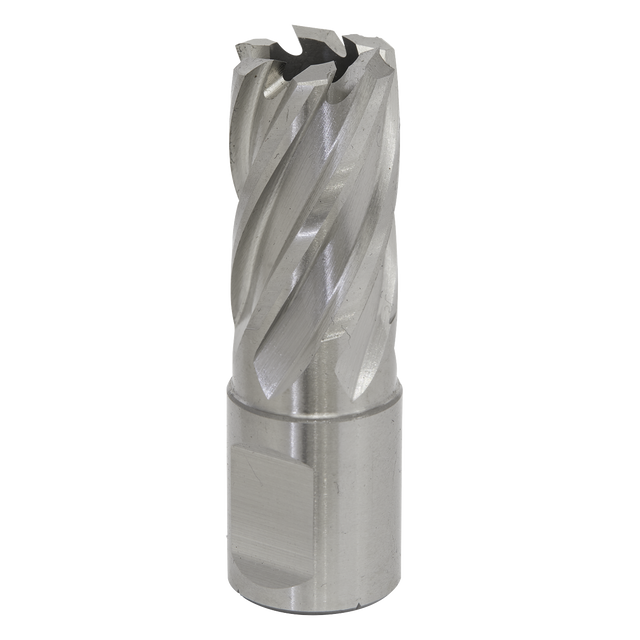 Rotabor Cutter HSS Ø17mm - Cut Depth 25mm - RBHSS17S - Farming Parts