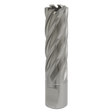 The Rotabor Cutter HSS Ø19mm - Cut Depth 50mm - RBHSS19L by Sealey is a high-speed steel (HSS M2) end mill with helical flutes, designed for cutting and shaping materials in machining processes. Perfect for use in magnetic drills, it features a universal 19mm Weldon shank for versatile applications.
