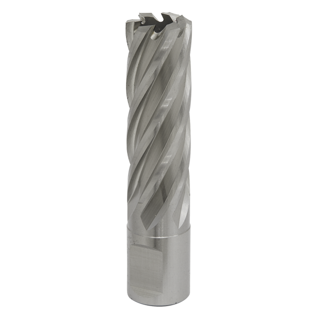 The Rotabor Cutter HSS Ø19mm - Cut Depth 50mm - RBHSS19L by Sealey is a high-speed steel (HSS M2) end mill with helical flutes, designed for cutting and shaping materials in machining processes. Perfect for use in magnetic drills, it features a universal 19mm Weldon shank for versatile applications.