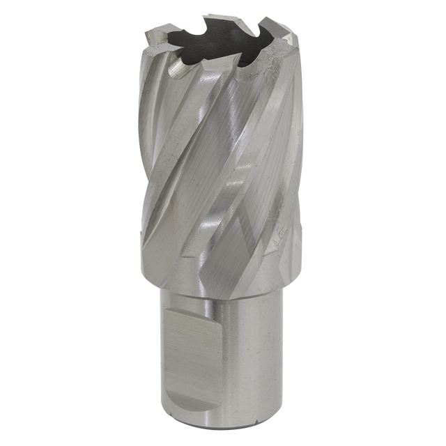 A close-up image of the Rotabor Cutter HSS Ø24mm - Cut Depth 25mm - RBHSS24S by Sealey, showcasing its silver metal construction made from M2 high-speed steel. It features spiral grooves and a hollow center, with sharp, serrated edges at the end that make it ideal for various cutting depths when used with magnetic drills.