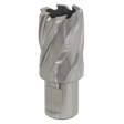 The Sealey Rotabor Cutter HSS Ø26mm - Cut Depth 25mm - RBHSS26S is a silver metal annular cutter with helical flutes and a cylindrical body, designed for drilling. It features a universal 19mm Weldon shank that is compatible with magnetic drills.