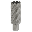 The Sealey Rotabor Cutter HSS Ø28mm - Cut Depth 50mm - RBHSS28L, a silver-colored annular cutter with spiral flutes crafted from HSS M2 steel, is shown against a white background. The versatile design features a Universal 19mm Weldon shank, making it compatible with magnetic drills.