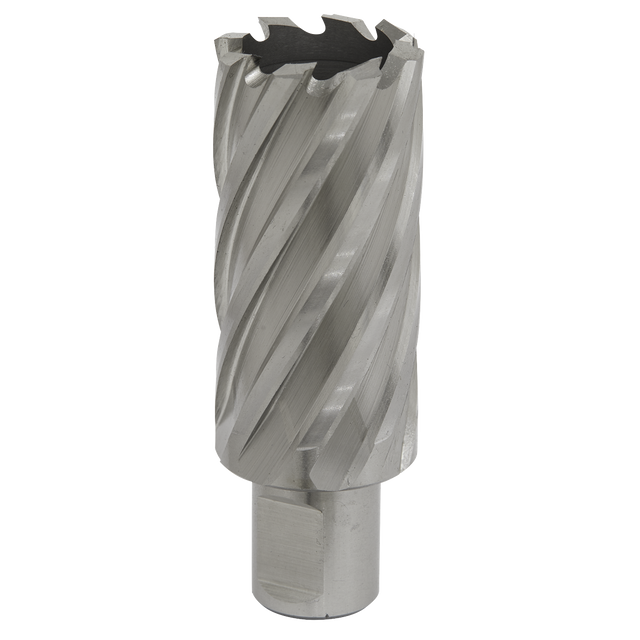 The Sealey Rotabor Cutter HSS Ø28mm - Cut Depth 50mm - RBHSS28L, a silver-colored annular cutter with spiral flutes crafted from HSS M2 steel, is shown against a white background. The versatile design features a Universal 19mm Weldon shank, making it compatible with magnetic drills.