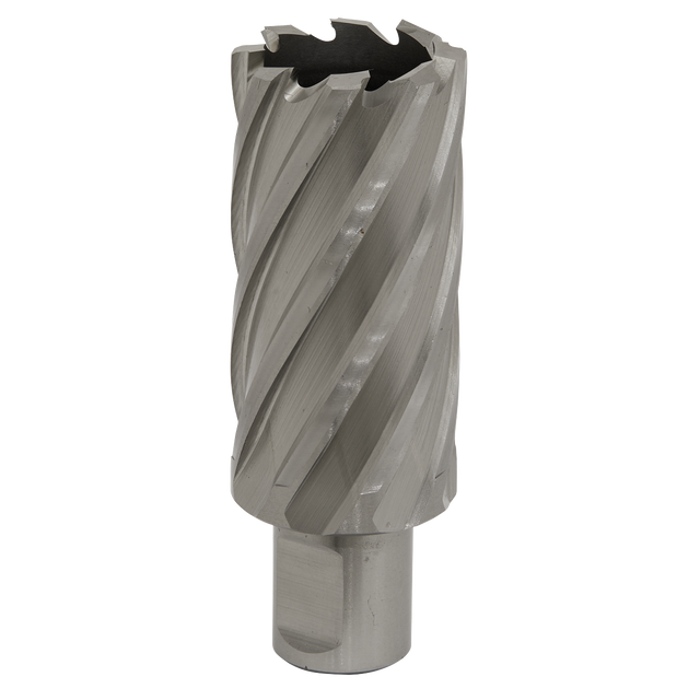 The Sealey Rotabor Cutter HSS Ø31mm - Cut Depth 50mm (RBHSS31L) features a silver metal core drill bit made from HSS M2 steel, complete with spiral flutes and a cylindrical Weldon shank.