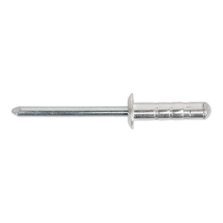 Image of a Sealey Aluminium Multi-Grip Rivet Standard Flange 4.8 x 13mm from the RM4813S pack of 200, featuring a round dome head and an elongated mandrel shaft, compliant with DIN 7337 standards.