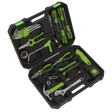 Introducing the Tool Kit 24pc - S01222 by Sealey, a sleek black and green hard plastic toolkit. This high-quality set includes essential tools such as screwdrivers, pliers, a hammer, wrenches, hex keys, and a measuring tape. The open case reveals an organized layout with some tools featuring soft grip handles for enhanced comfort.