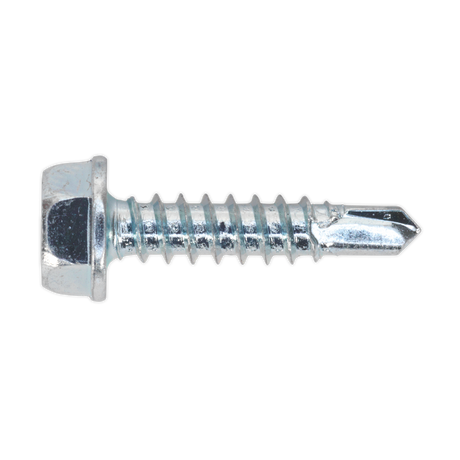 Close-up image of a Sealey Self-Drilling Screw 4.2 x 19mm Hex Head with a sharp point for drilling and zinc plating for extra durability, available in a pack of 100 (Model SDHX4219).