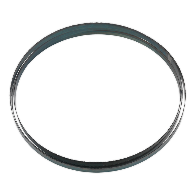 A black circular rubber gasket with a smooth surface is displayed against a white background, echoing the meticulous craftsmanship of the Sealey Bandsaw Blade 2240 x 12 x 0.6mm 14tpi - SM1305B14, known for its hardened steel teeth.