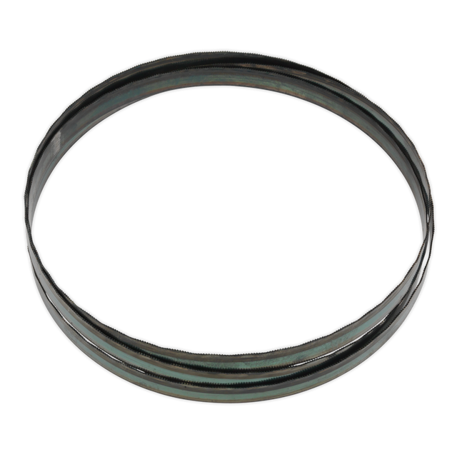 Bandsaw Blade 1638 x 13 x 0.63mm 24tpi - SM5/113/24 - Farming Parts