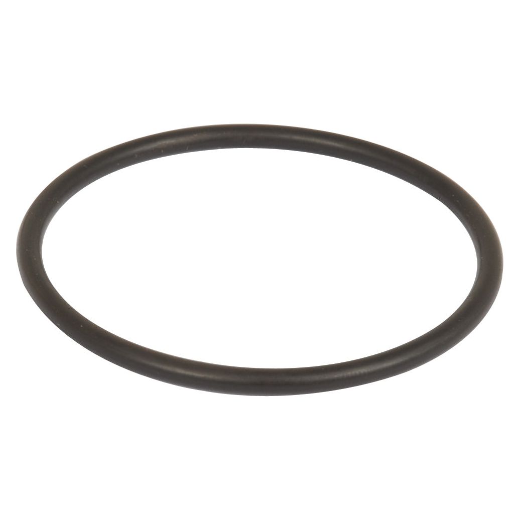 A Sparex Sealing Ring 58.74 x 3.53mm (Sparex Part No.S.79333) in black rubber from Metaltecnica, displayed on a white background.