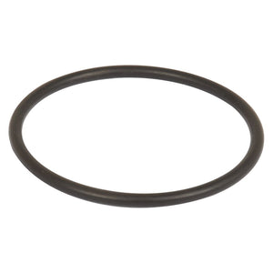 Sealing Ring 58.74 x 3.53mm
 - S.79333 - Massey Tractor Parts