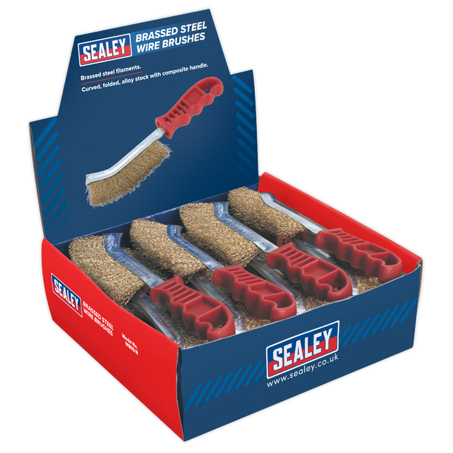 A display box containing 24 Sealey Wire Brush Brassed Steel Plastic Handle brushes.