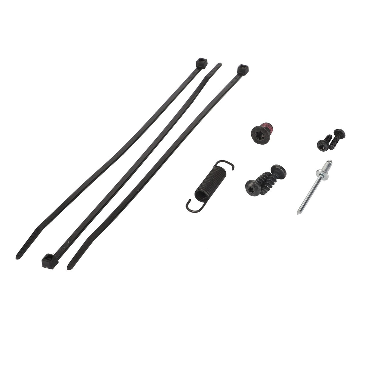 Product Name: AGCO | Small Parts Kit - F930500030630 by AGCO, featuring assorted hardware items such as two black cable ties, a metal spring, screws, bolts, and a rivet are meticulously arranged on a white background.