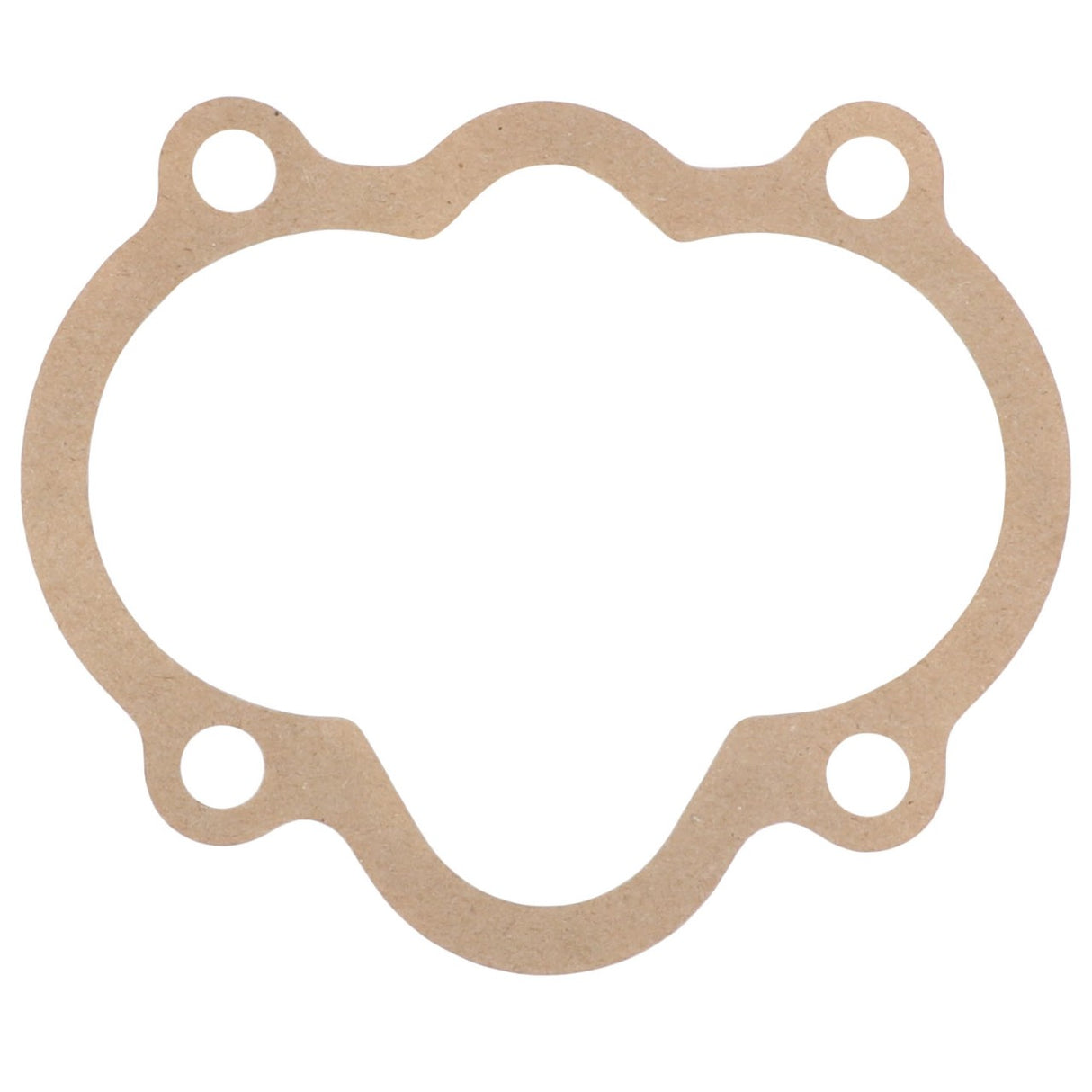 Here is the revised sentence using the given product data:
The AGCO | Gasket - V836338188 from AGCO is a brown engine gasket featuring four circular bolt holes and an irregular oval internal shape. No current product description available.