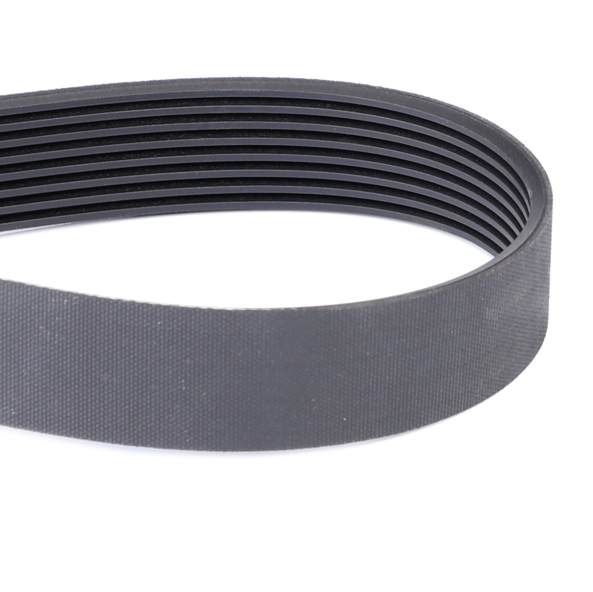 AGCO | Serpentine Belt, Pk8 Profile - 4296120M1 - Farming Parts