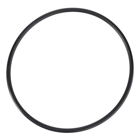 A high-quality AGCO seal, model F119200210250, featuring a black circular rubber O-ring, isolated on a white background.