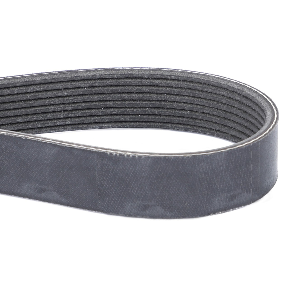 The AGCO Serpentine Belt, model F339202040050 with a Pk8 profile, is black and features coiled grooves on its inner surface to ensure optimal performance, ideal for automotive or machinery applications.