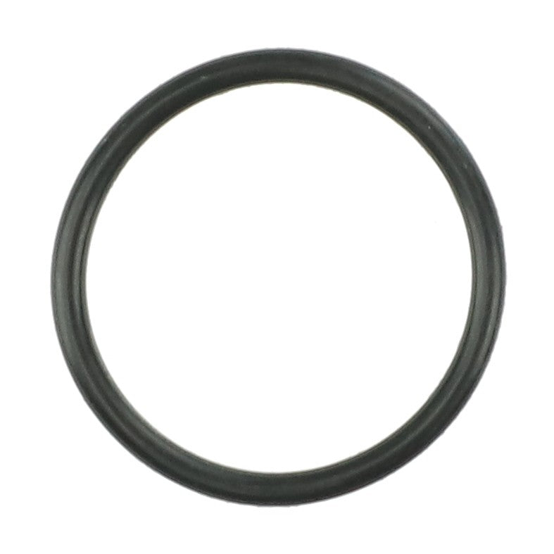 Product Name: AGCO | O RING - AG519377
A circular black rubber O-ring, used as a sealing gasket. No current product description information is available.