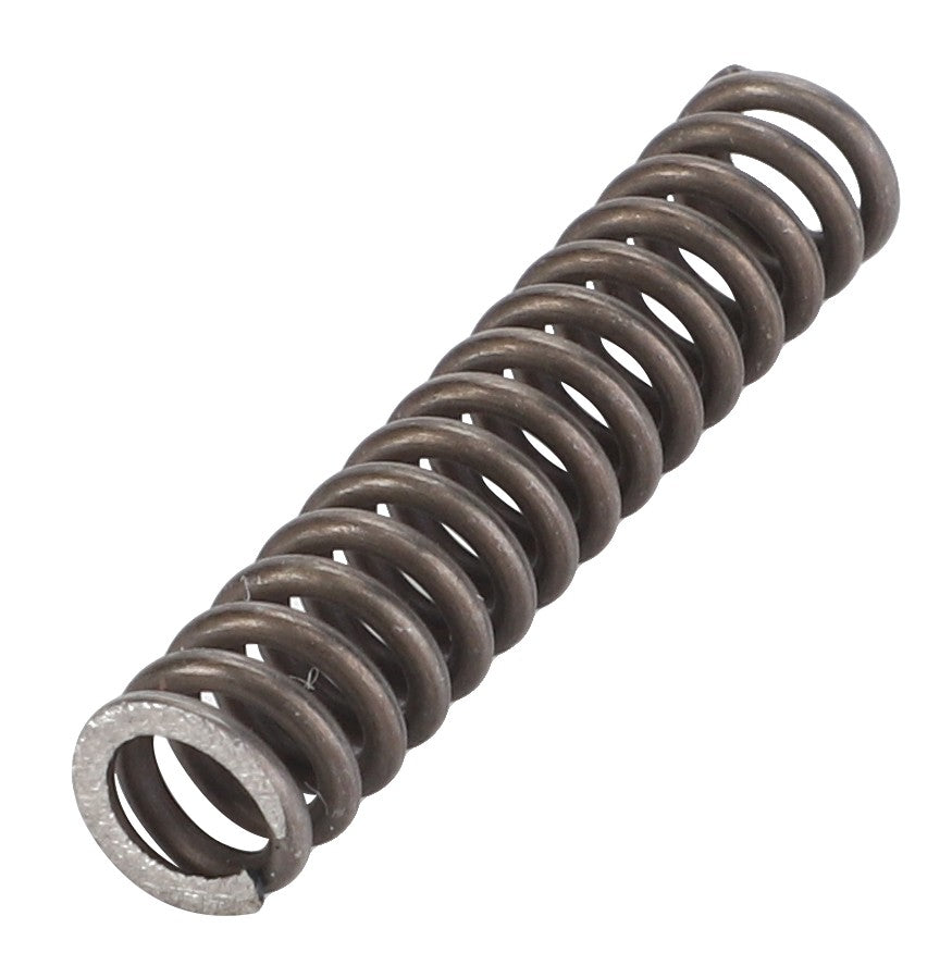 The AGCO | Spring - Acp0379450, featuring tightly coiled loops, stands upright on a white background, showcasing its resilient design.