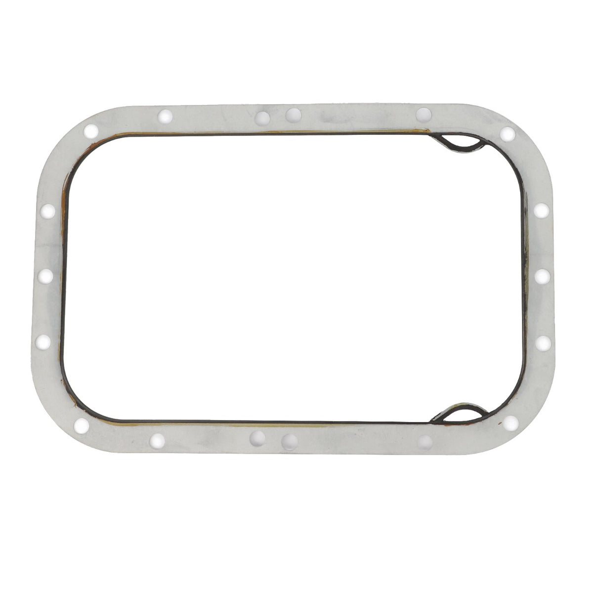 AGCO | Gasket | AG-1687785M4