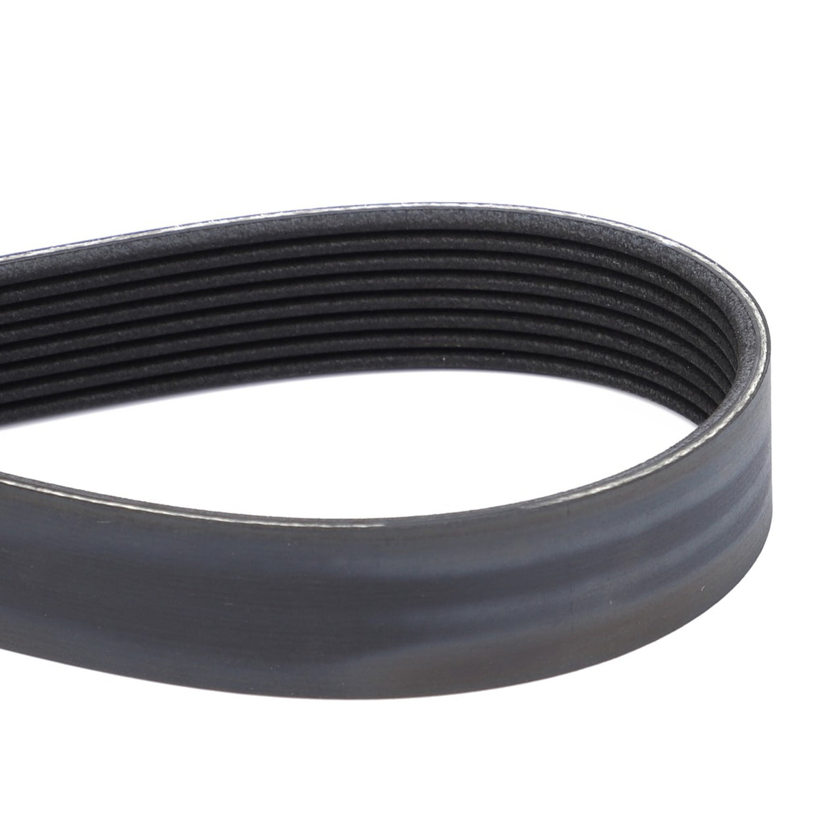Close-up of an AGCO Genuine Serpentine Belt, Pk8 Profile - Acp0309760 coiled in a loop, showcasing its ribbed surface and precise profile to guarantee optimal performance.