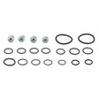 AGCO | Seal Kit - Acp0296600 - Farming Parts