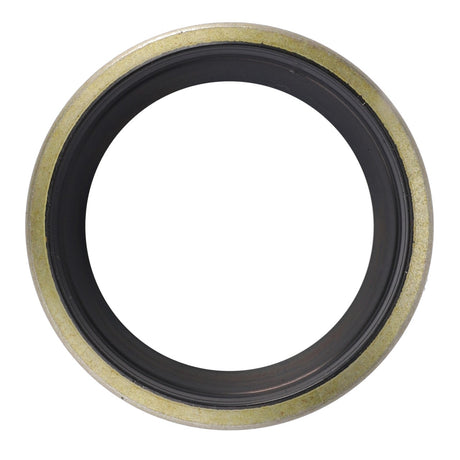 AGCO | Scraper Ring - 3010107X1 - Farming Parts
