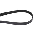 AGCO | Accessory Drive Belt - Acw1752870 - Farming Parts