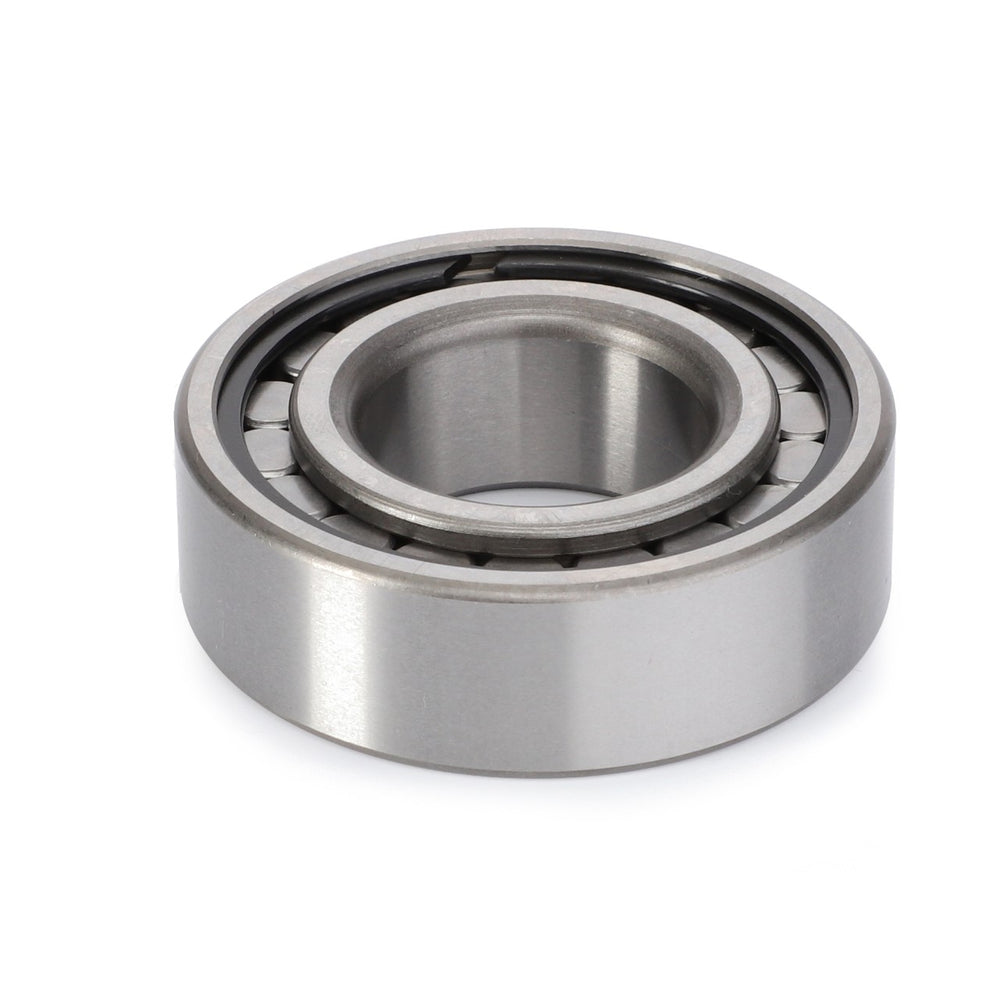 AGCO Roller Bearing Cylindrical Internal Raceway | 191250M1
