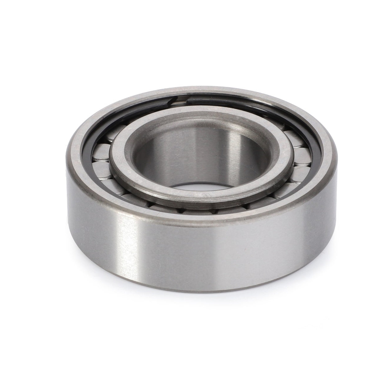 AGCO Roller Bearing Cylindrical Internal Raceway | 191250M1