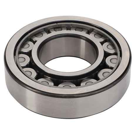AGCO | Cylindrical Radial Roller Bearing - 3003369X1 - Farming Parts