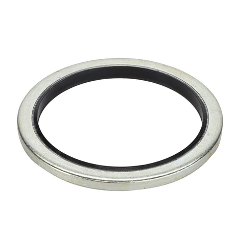 AGCO SEAL - D45420000, featuring a black inner seal, isolated on a white background. No additional information available.