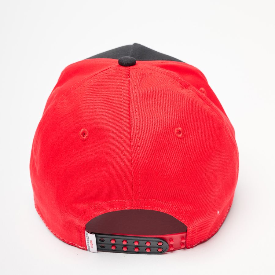 Massey Ferguson Born to Farm Cap – Two-Tone Adjustable Hat | X993232205000