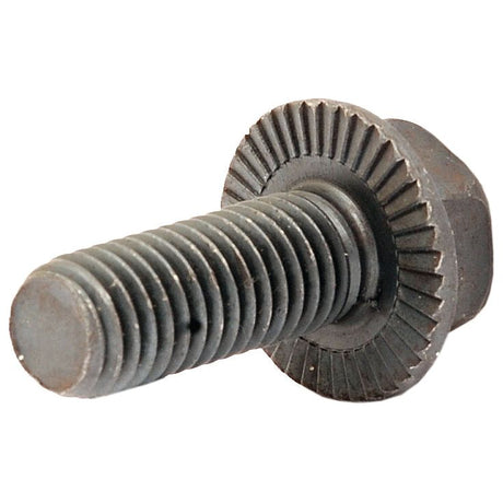 Screw - M10 x 25mm (Bag of 5)
 - S.101891 - Farming Parts