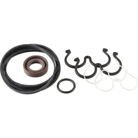 Hydraulic Pump Repair Kit
 - S.108374 - Farming Parts