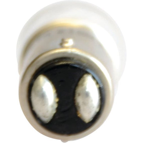 Close-up of the base of a Sparex Light Bulb (Filament), 24V, 10W, BA15d showing two metal contact points.