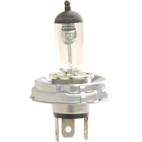 Halogen Head Light Bulb, 12V, 55W, P45t Base
 - S.109981 - Farming Parts