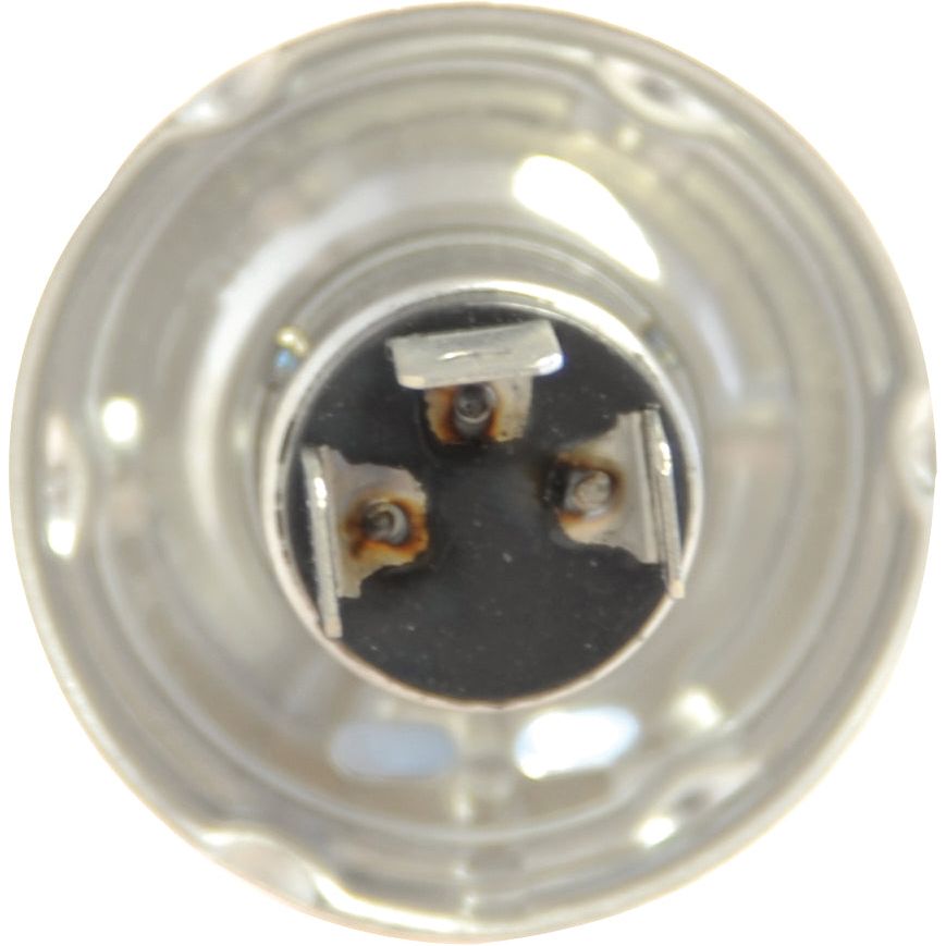 Halogen Head Light Bulb, 12V, 55W, P45t Base
- S.109981 - Farming Parts